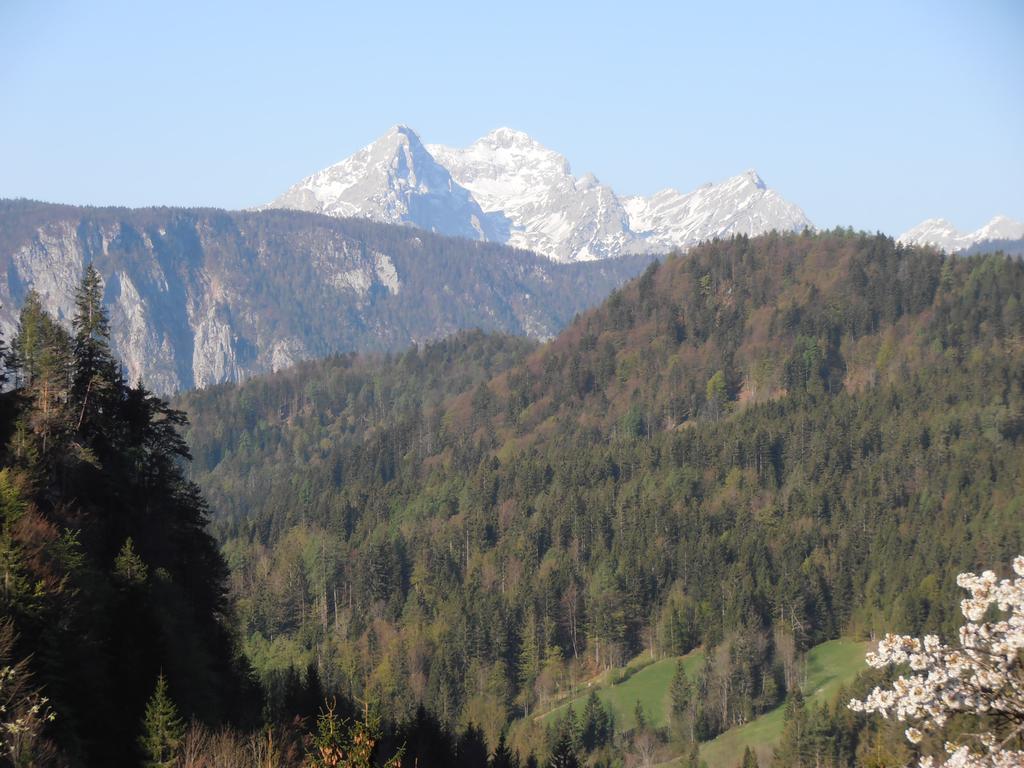 Penzion Pr' Betel Jesenice Esterno foto