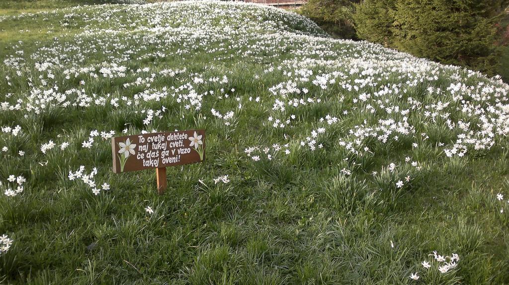Penzion Pr' Betel Jesenice Esterno foto
